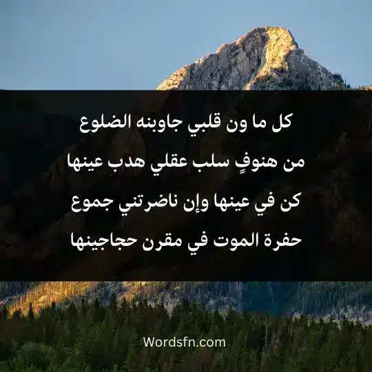 كل ما ون قلبي جاوبنه الضلوع من هنوفٍ سلب عقلي هدب عينها