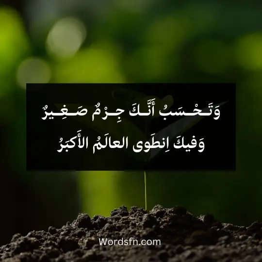 وَتَـحْـسَبُ أَنَّـكَ جِـرْمٌ صَـغِـيرٌ وَفيكَ اِنطَوى العالَمُ الأَكبَرُ