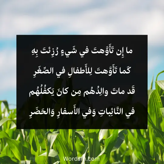 ما إِن تَأَوَّهتَ في شَيءٍ رُزِئتَ بِهِ كَما تَأَوَّهتَ لِلأَطفالِ في الصِّغَرِ قَد ماتَ والِدُهُم مِن كانَ يَكفُلُهُم في النَّائِباتِ وَفي الأَسفارِ وَالحَضَرِ