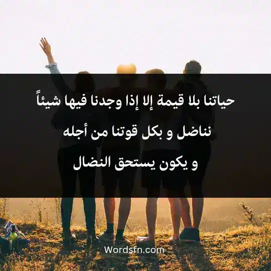 حياتنا بلا قيمة إلا إذا وجدنا فيها شيئاً نناضل و بكل قوتنا من أجله و يكون يستحق النضال