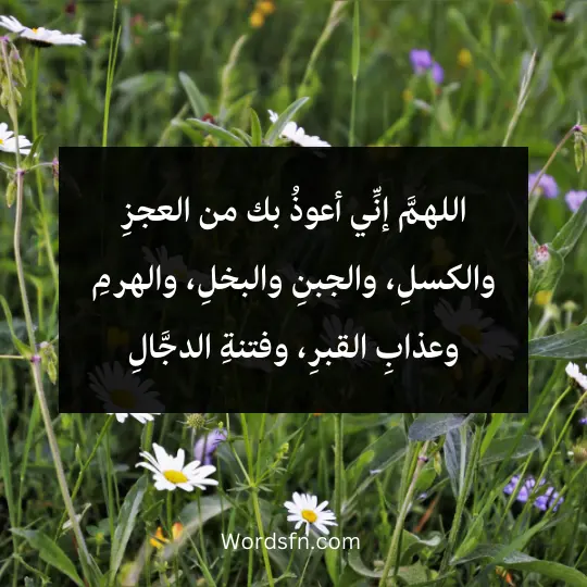 اللهمَّ إنِّي أعوذُ بك من العجزِ والكسلِ، والجبنِ والبخلِ، والهرمِ