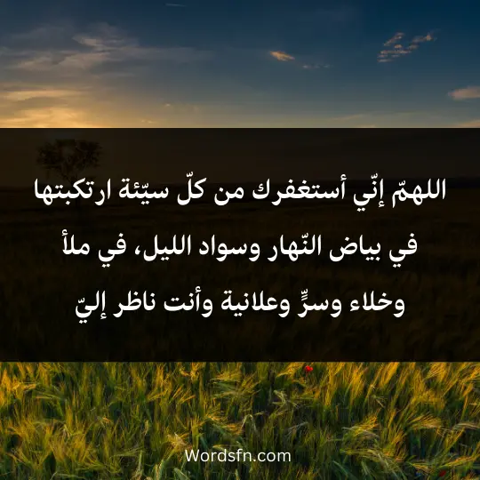 اللهمّ إنّي أستغفرك من كلّ سيّئة ارتكبتها في بياض النّهار وسواد الليل