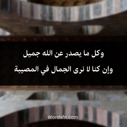 Quotes-Ibn-al-Qayyim 3 - فن العبارات وكل ما يصدر عن الله جميل وإن كنا لا نرى الجمال في المصيبة