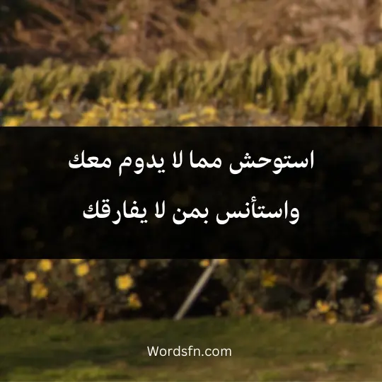 Quotes-Ibn-al-Qayyim 4 - فن العبارات استوحش مما لا يدوم معك واستأنس بمن لا يفارقك