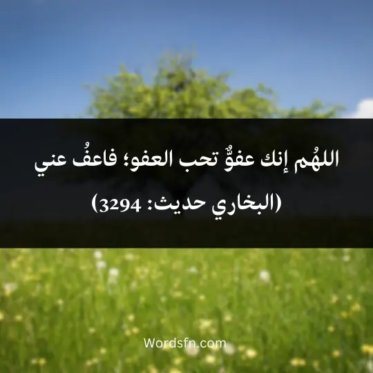 Selected supplications from the Quran and Sunnah 4 - فن العبارات اللهُم إنك عفوٌّ تحب العفو؛ فاعفُ عني (البخاري حديث: 3294)