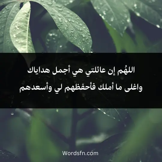 اللهُم إن عائلتي هي أجمل هداياك واغلى ما أملك فأحفظهم لي وأسعدهم