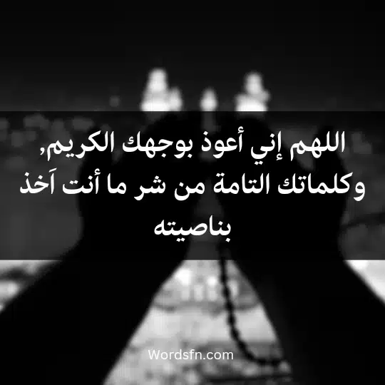 اللهم إني أعوذ بوجهك الكريم, وكلماتك التامة من شر ما أنت اَخذ بناصيته