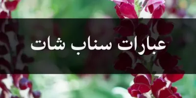 عبارات سناب شات