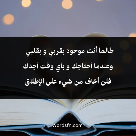 طالما أنت موجود بقربي و بقلبي و عندما أحتاجك و بأي وقت أجدك فلن أخاف من شيء على الإطلاق