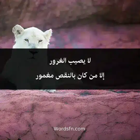 لا يصيب الغرور إلا من كان بالنقص مغمور