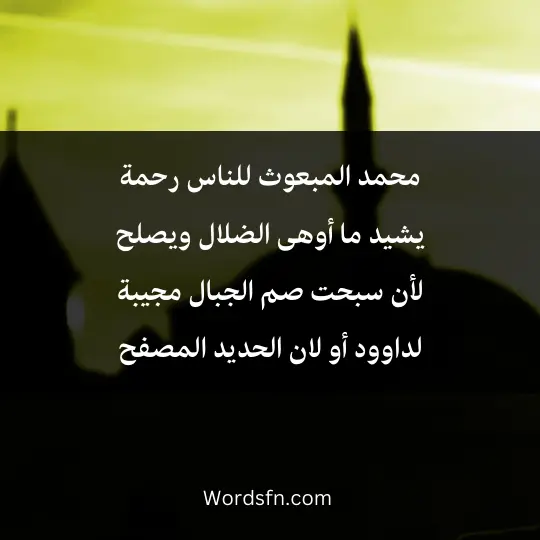Sufi-poems-in-praise-of-the-Prophet 2 - فن العبارات محمد المبعوث للناس رحمة يشيد ما أوهى الضلال ويصلح