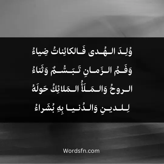 Sufi-poems-in-praise-of-the-Prophet 4 - فن العبارات وُلِـدَ الـهُـدى فَـالكائِناتُ ضِياءُ وَفَـمُ الـزَمـانِ تَـبَـسُّـمٌ وَثَناءُ