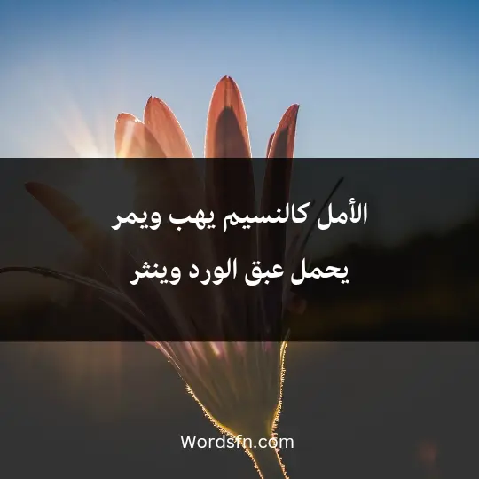 الأمل كالنسيم يهب ويمر. يحمل عبق الورد وينثر