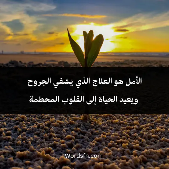 الأمل هو العلاج الذي يشفي الجروح ويعيد الحياة إلى القلوب المحطمة