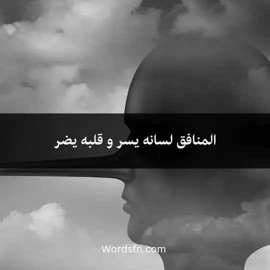 Talk about hypocrisy and interest 1 - فن العبارات المنافق لسانه يسر و قلبه يضر