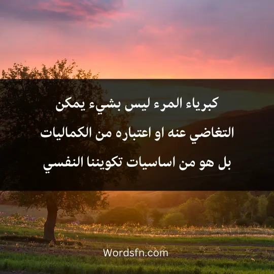 Talk-about-pride 2 - فن العبارات كبرياء المرء ليس بشيء يمكن التغاضي عنه او اعتباره من الكماليات بل هو من اساسيات تكويننا النفسي