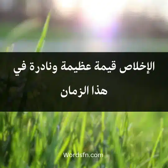 الإخلاص قيمة عظيمة ونادرة في هذا الزمان