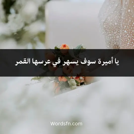 يا أميرة سوف يسهر في عرسها القمر