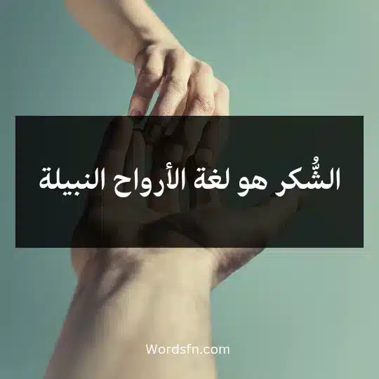 الشُّكر هو لغة الأرواح النبيلة