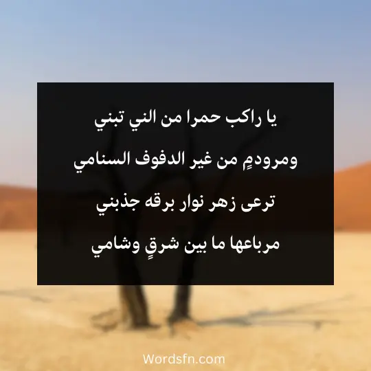 The-generosity-of-Sheikh-Khalaf-bin-Daija 3 - فن العبارات يا راكب حمرا من الني تبني ومرودمٍ من غير الدفوف السنامي