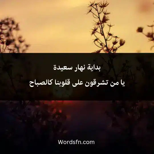 بداية نهار سعيدة يا من تشرقون على قلوبنا كالصباح.