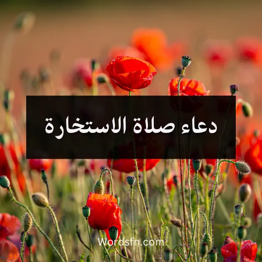 دعاء صلاة الاستخارة