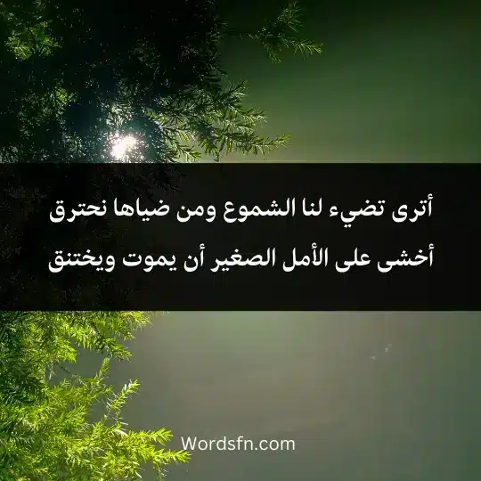 أترى تضيء لنا الشموع ومن ضياها نحترق أخشى على الأمل الصغير أن يموت ويختنق