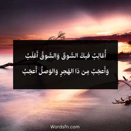 أُغالِبُ فيكَ الشَوقَ وَالشَوقُ أَغلَبُ وَأَعجَبُ مِن ذا الهَجرِ وَالوَصلُ أَعجَبُ