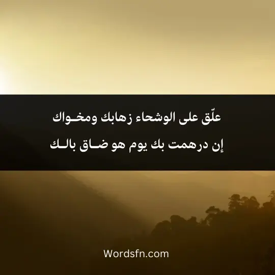 علّق على الوشحاء زهابك ومخـواك إن درهمت بك يوم هو ضـاق بالـك