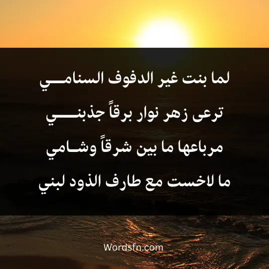 لما بنت غير الدفوف السنامــي ترعى زهر نوار برقاً جذبنـــي 