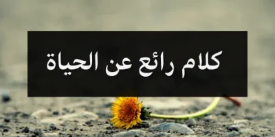 كلام رائع عن الحياة