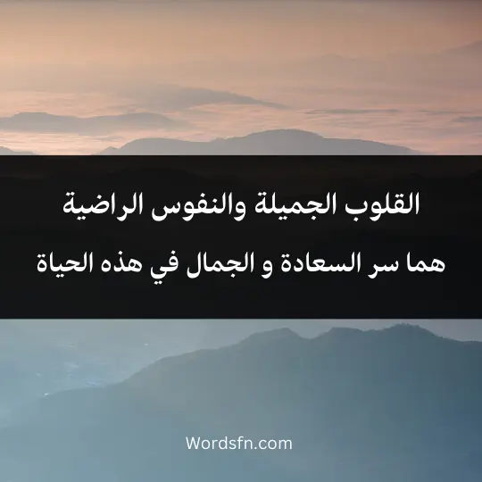 Wonderful-words-about-life 3 - فن العبارات القلوب الجميلة والنفوس الراضية هما سر السعادة و الجمال في هذه الحياة