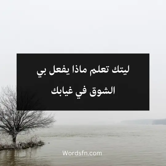 Words-about-absence 2 - فن العبارات ليتك تعلم ماذا يفعل بي الشوق في غيابك