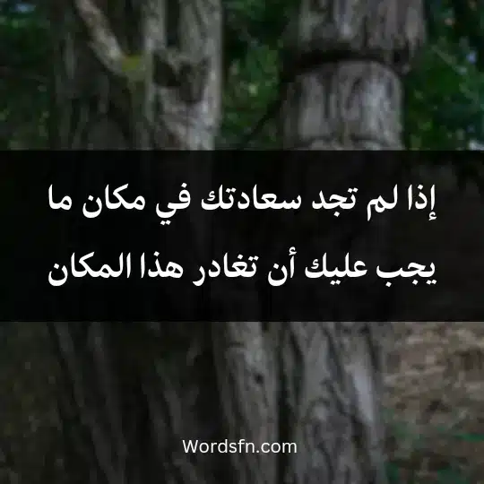إذا لم تجد سعادتك في مكان ما يجب عليك أن تغادر هذا المكان