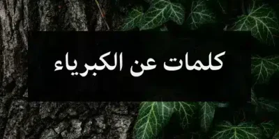 كلمات عن الكبرياء
