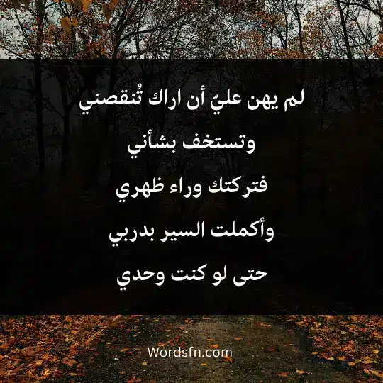 Words-about-pride 4 - فن العبارات لم يهن عليّ أن اراك تُنقصني وتستخف بشأني