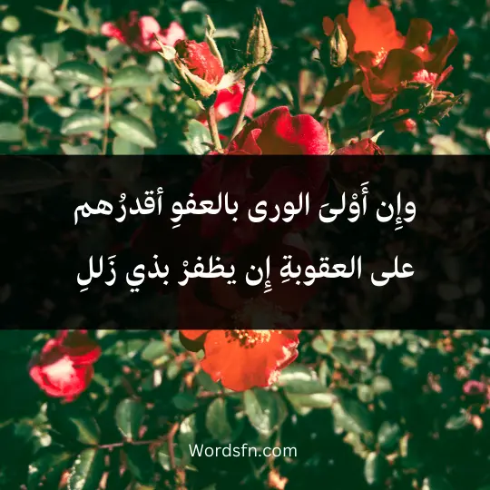 وإِن أَوْلىَ الورى بالعفوِ أقدرُهم على العقوبةِ إِن يظفرْ بذي زَللِ