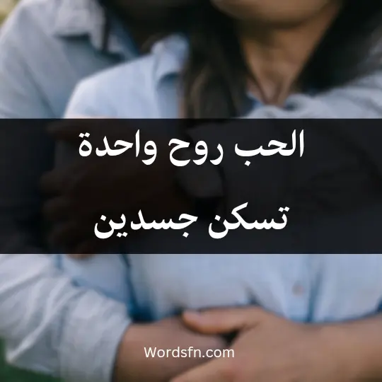 الحب روح واحدة تسكن جسدين