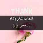 كلمات شكر وثناء لشخص عزيز