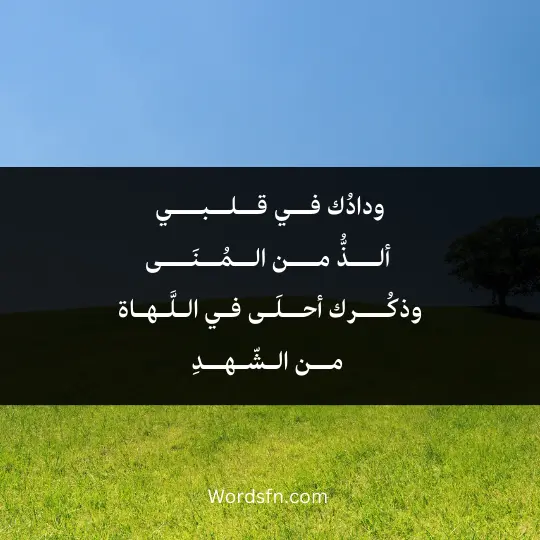 ودادُك فــي قــلــبـــي ألـــذُّ مـــن الــمُــنَـــىوذكُـــرك أحــلَـى فـي الـلَّـهـاة مــن الـشّـهــدِ