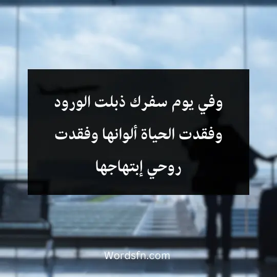 phrases-about-travilling 2 - فن العبارات وفي يوم سفرك ذبلت الورود وفقدت الحياة ألوانها وفقدت روحي إبتهاجها