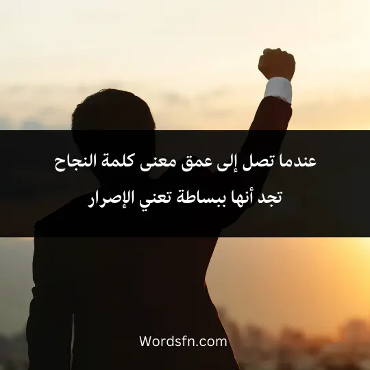 عندما تصل إلى عمق معنى كلمة النجاح تجد أنها ببساطة تعني الإصرار