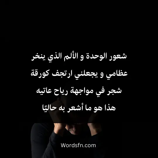 شعور الوحدة و الألم الذي ينخر عظامي و يجعلني ارتجف كورقة شجر في مواجهة رياح عاتيه هذا هو ما أشعر به حاليًا