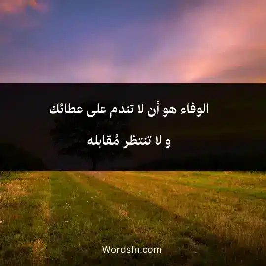 الوفاء هو أن لا تندم على عطائك و لا تنتظر مُقابله