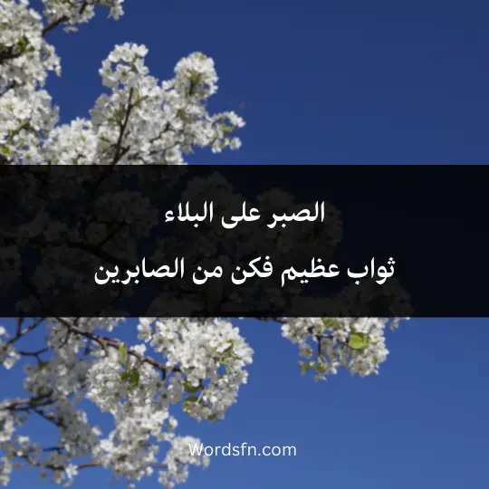 words-about-patience-and-trust-in-allah 4 - فن العبارات الصبر على البلاء ثواب عظيم فكن من الصابرين