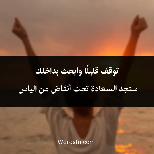 words-about-true-happiness 2 - فن العبارات توقف قليلًا وابحث بداخلك ستجد السعادة تحت أنقاض من اليأس