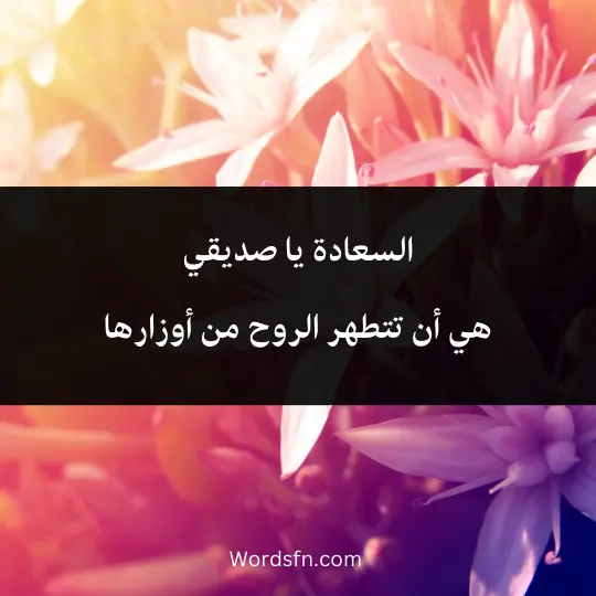 words-about-true-happiness 3 - فن العبارات السعادة يا صديقي هي أن تتطهر الروح من أوزارها