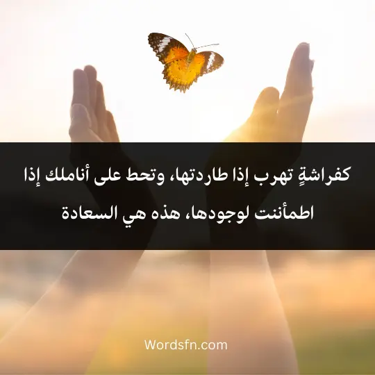 words-about-true-happiness 4 - فن العبارات كفراشةٍ تهرب إذا طاردتها، وتحط على أناملك إذا اطمأننت لوجودها، هذه هي السعادة