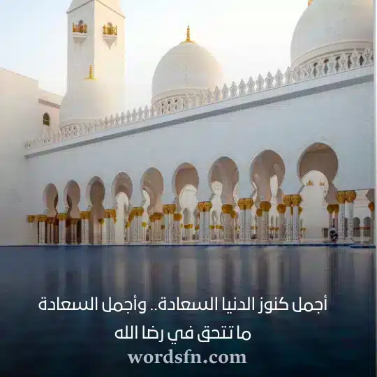 أجمل كنوز الدنيا السعادة وأجمل السعادة ما تتحق في رضا اللهwebp - فن العبارات أجمل كنوز الدنيا السعادة وأجمل السعادة ما تتحق في رضا الله حالات واتس اب جديدة