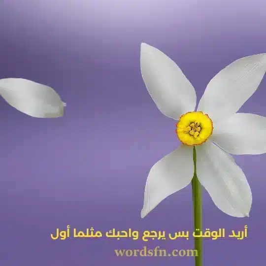 أريد الوقت بس يرجع واحبك مثلما أول - فن العبارات أريد الوقت بس يرجع واحبك مثلما أول حالات واتساب حزينه